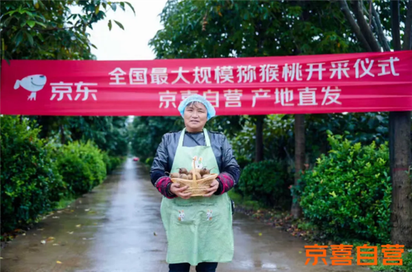 京东京喜自营：一年新增1.5亿用户 交易额暴涨10倍